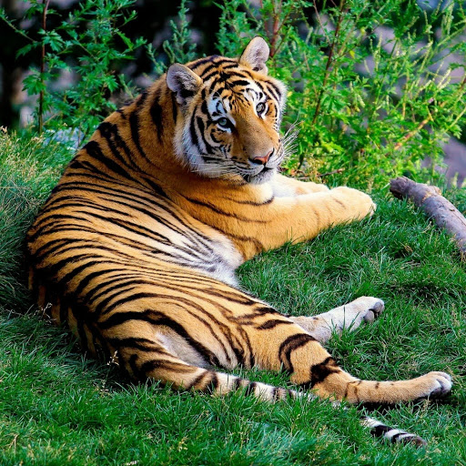 Hd-176797-ascw176797