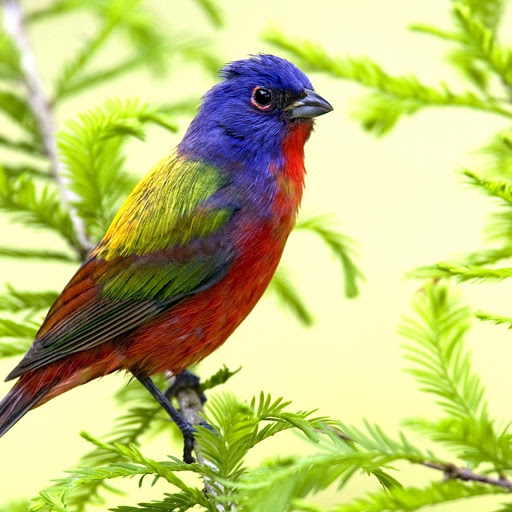 Hd-141906-ascw141906