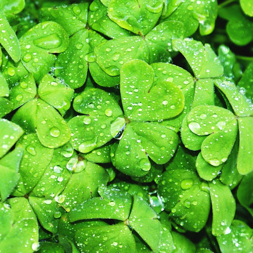 Hd-146397-ascw146397