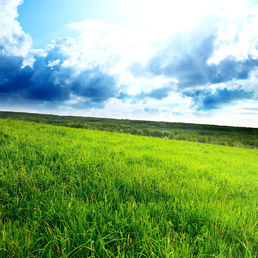 Hd-159163-ascw159163