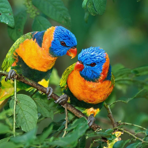 Hd-190484-ascw190484