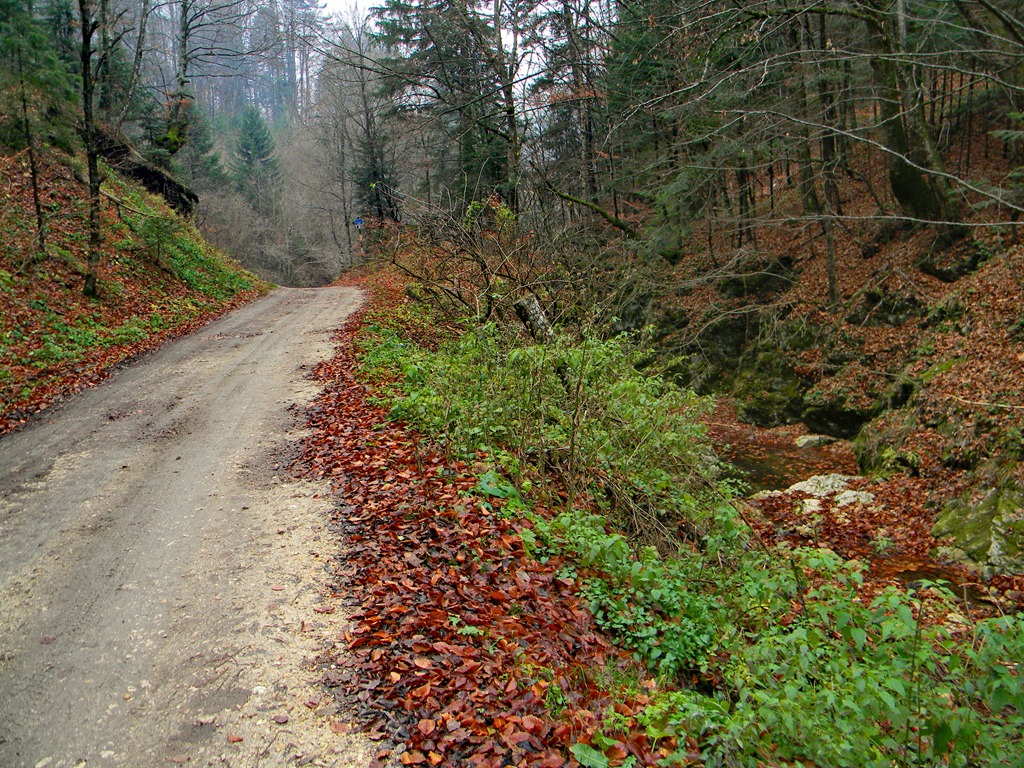 [DSCN23213.jpg]