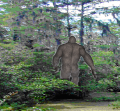 Bigfoot in Swamp