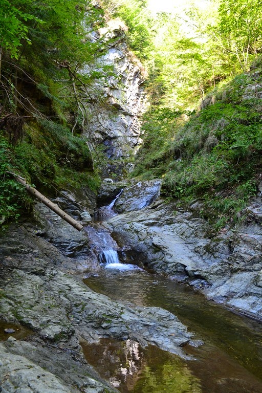 [DSC_76854.jpg]