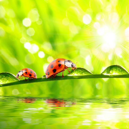 Hd-163814-ascw163814