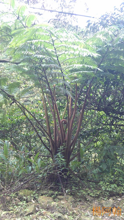 [0423-048---5.jpg]
