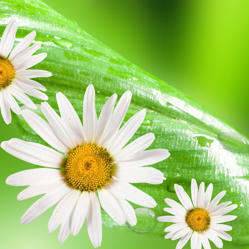 Hd-171187-ascw171187