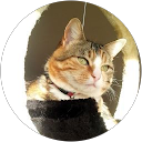 Image Google de Lucette Nogueira