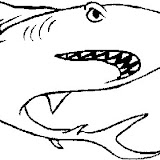 dibujos-colorear-tiburones-p.jpg