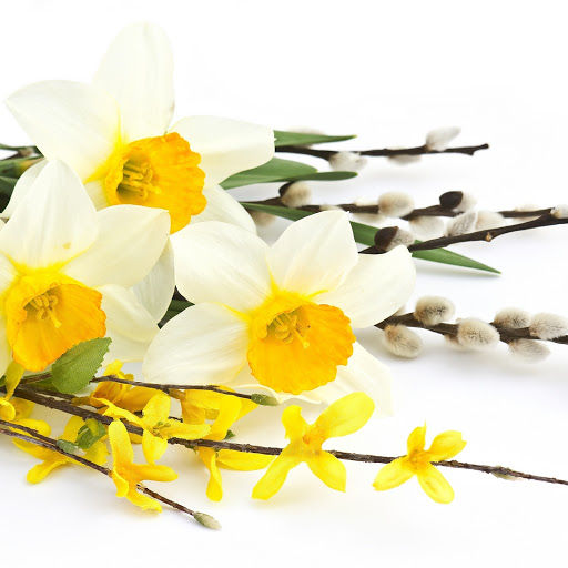 Hd-157546-ascw157546