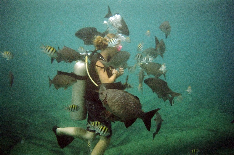 cayman-island-shipwreck-17