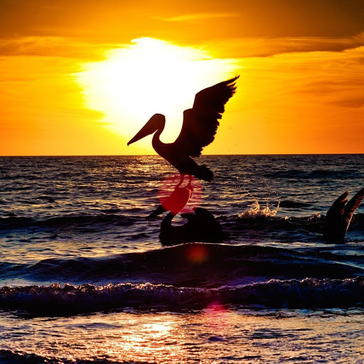 Hd-155453-ascw155453