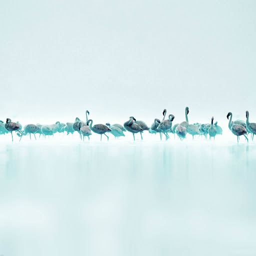 Hd-137439-ascw137439