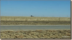 Texas Prairie