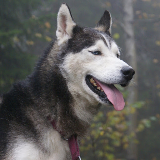 Hd-176116-ascw176116