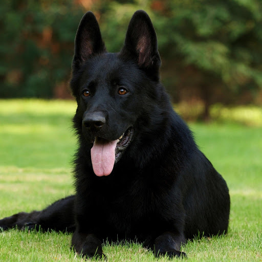 Hd-175892-ascw175892