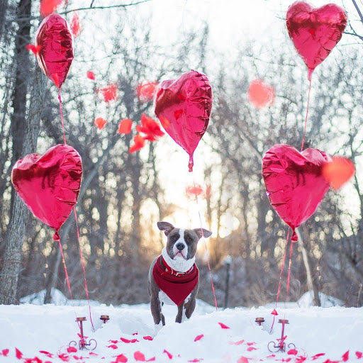 Hd-174812-ascw174812