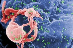 HIV_virus-c