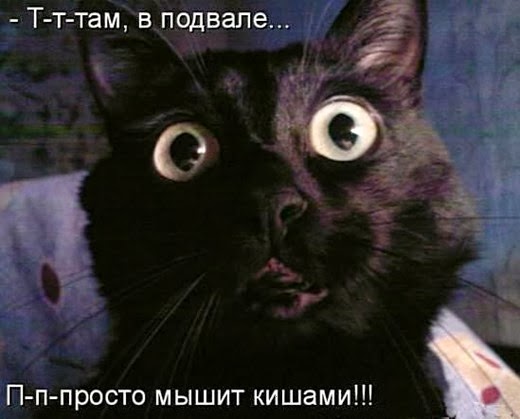 [6228935b5185deba3f0ccdc51fa_prev%255B9%255D.jpg]