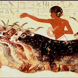 03.- Escena Ganadera. Tumba de Nebamun