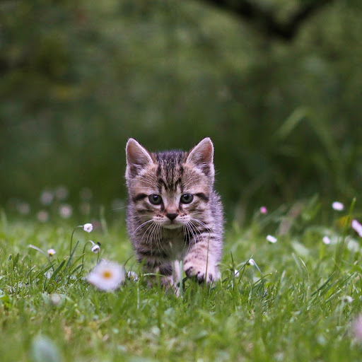 Hd-180923-ascw180923