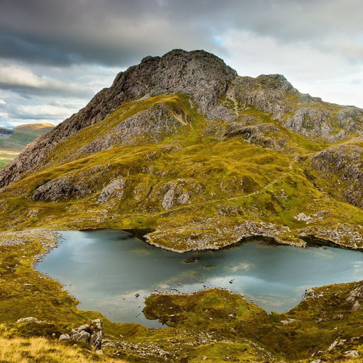 Hd-165017-ascw165017