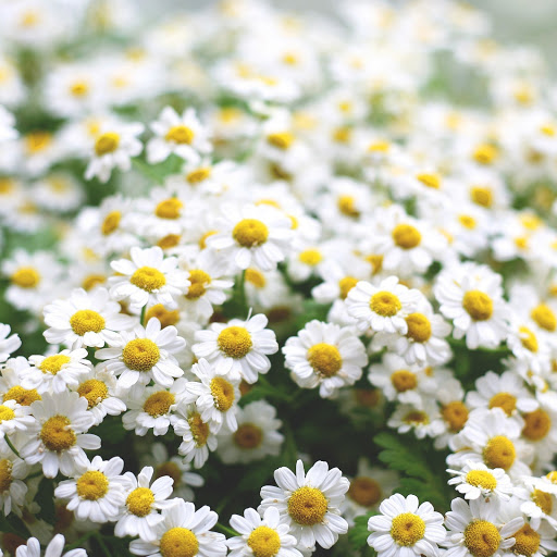 Hd-168442-ascw168442