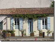 IMG_2142 IMG_2142