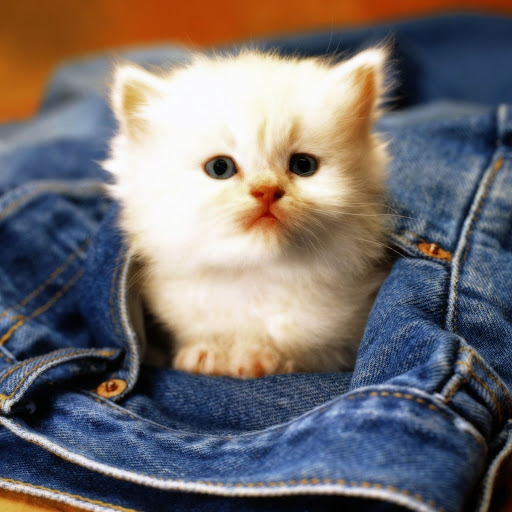 Hd-134726-ascw134726