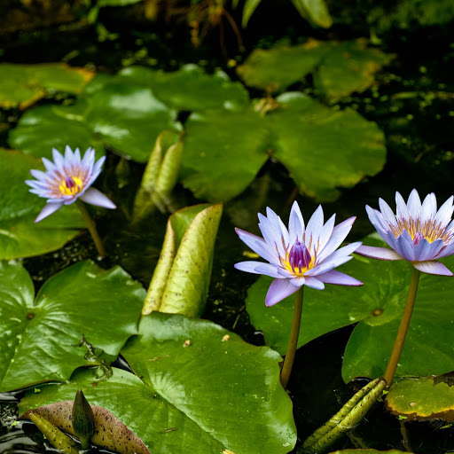 Hd-156578-ascw156578