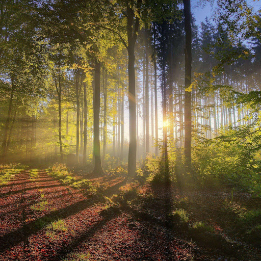 Hd-154025-ascw154025