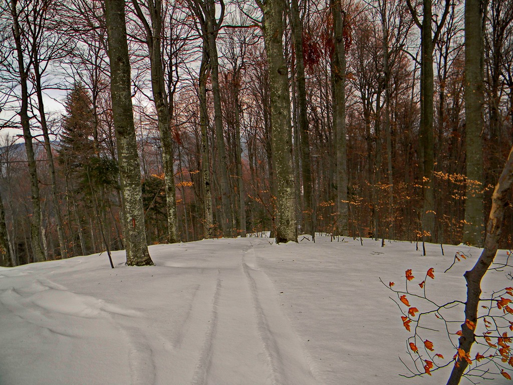 [DSCN46833.jpg]