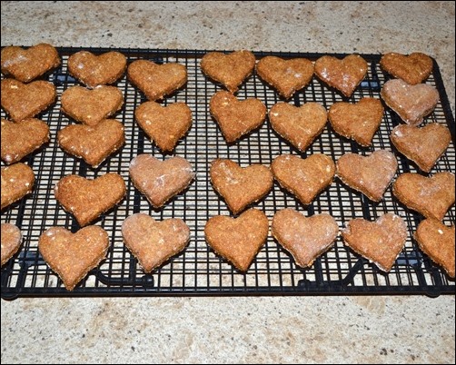 baked homemade dog biscuits