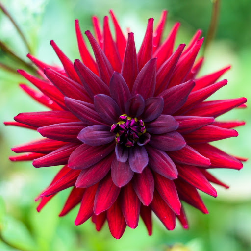 Hd-163597-ascw163597