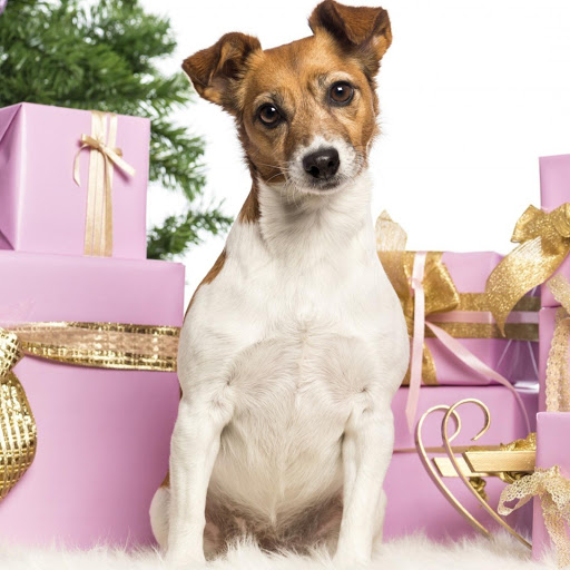 Hd-159241-ascw159241