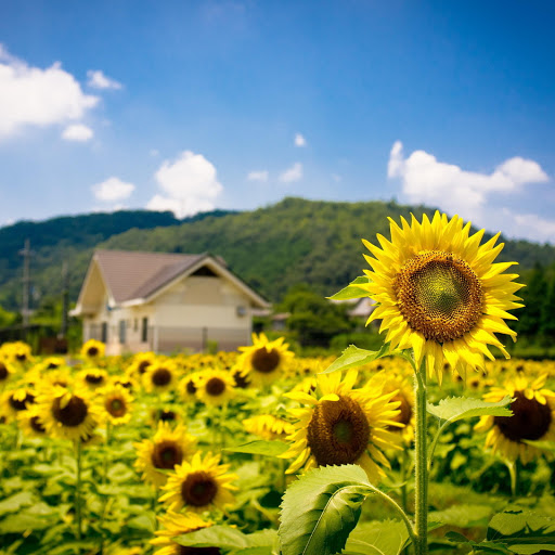 Hd-157817-ascw157817