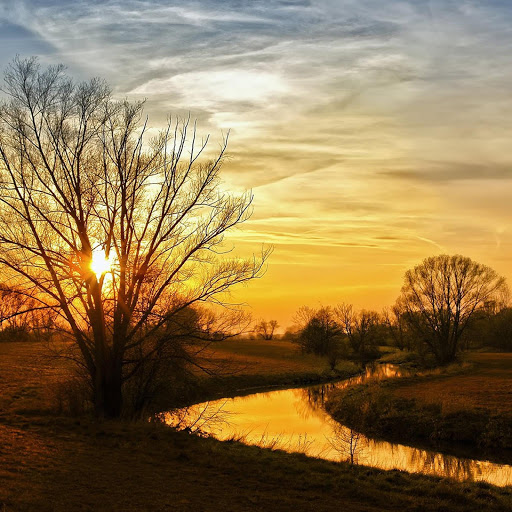 Hd-134870-ascw134870