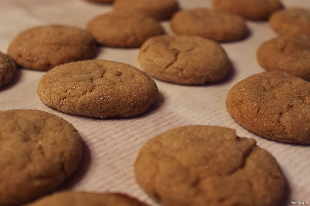 [Cookie%2520exchange%2520cookies%255B8%255D.jpg]