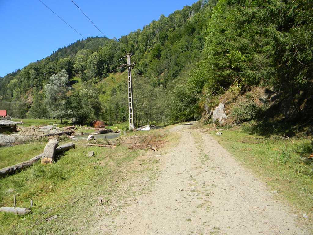 [DSCN19043.jpg]
