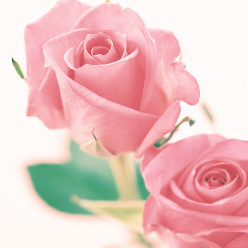 Hd-157276-ascw157276