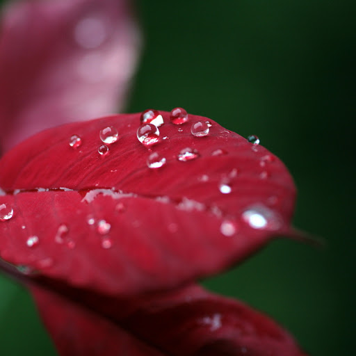 Hd-171143-ascw171143