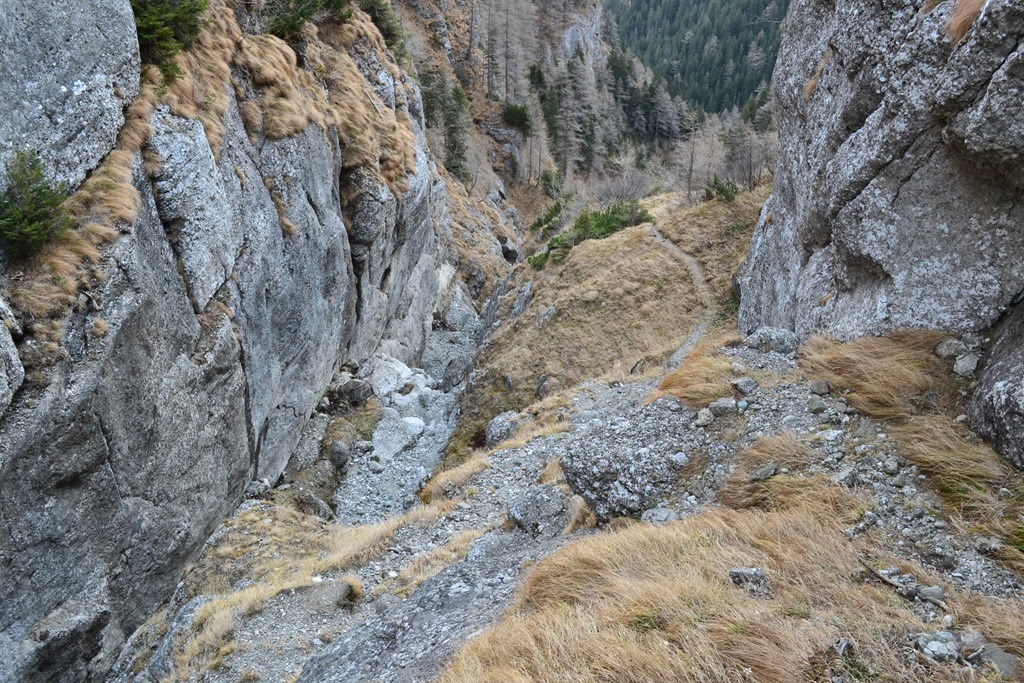[DSC_02656.jpg]