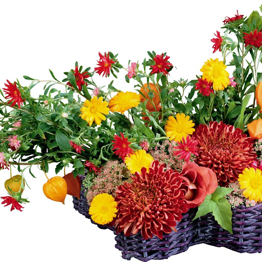 Hd-153322-ascw153322