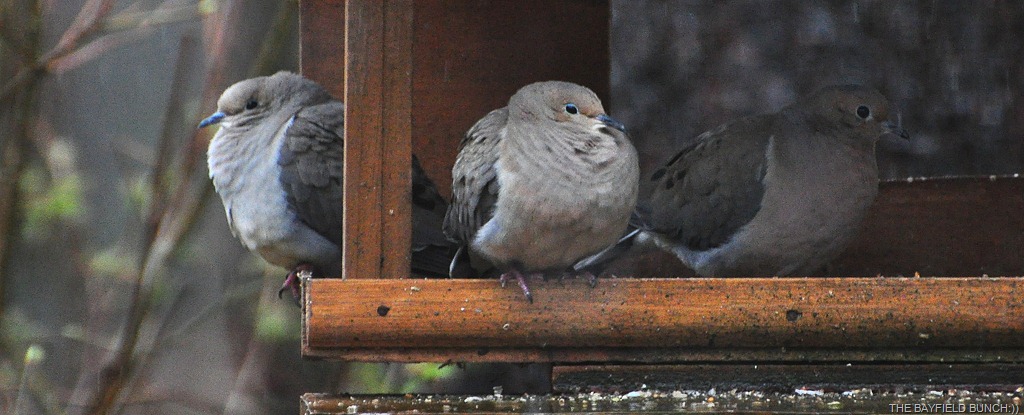 [DSC_0031%255B4%255D.jpg]