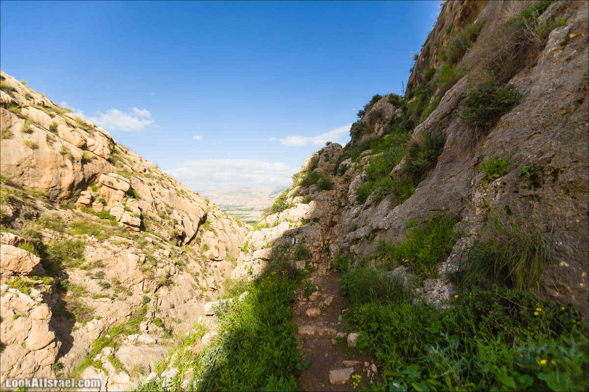 LookAtIsrael.com - Ручей (нахаль) Талкид | Nahal Talkid | נחל תלקיד