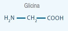 glicina
