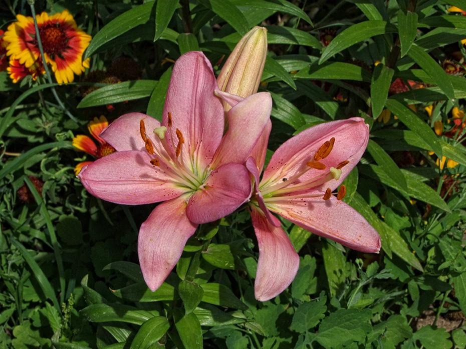 [DSCF3225_re%255B2%255D.jpg]