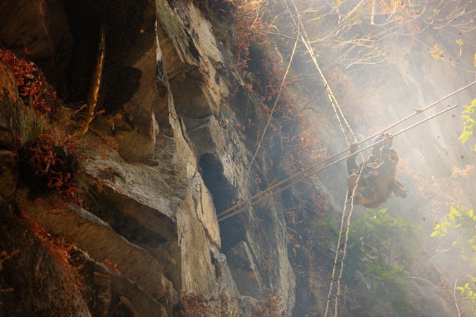 honey-hunters-nepal-22[4].jpg?imgmax=800