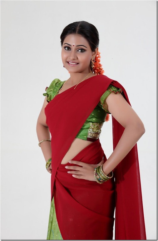 Actress Nandagi New Pic in Saree