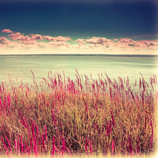 Hd-142228-ascw142228